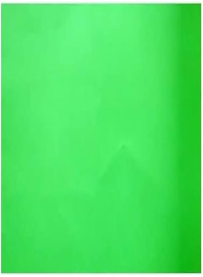 PARIS EMBOSSED PAPER 70 × 50 CM 150 GM LIGHT GREEN